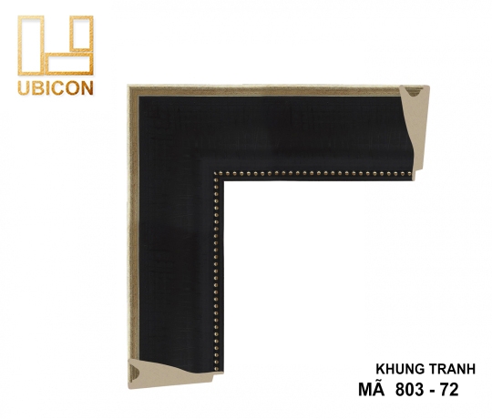 KHUNG TRANH 803 - 72