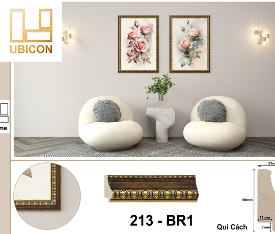 KHUNG TRANH 213 - BR1