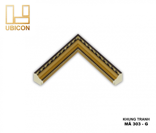 KHUNG TRANH 303 - G