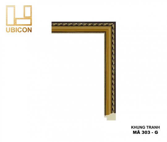 KHUNG TRANH 303 - G