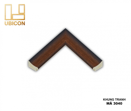 KHUNG TRANH 3040 