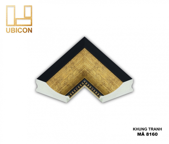 KHUNG TRANH 8160