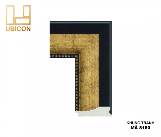 KHUNG TRANH 8160