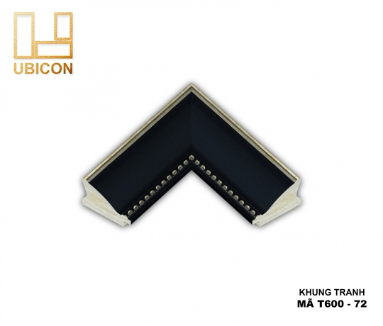 KHUNG TRANH T600 - 72