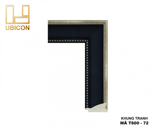 KHUNG TRANH T600 - 72