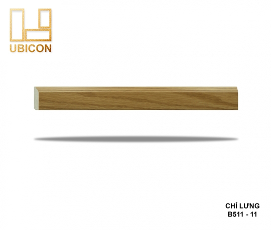 CHỈ LƯNG B511 - 11