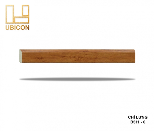 CHỈ LƯNG B511 - 6