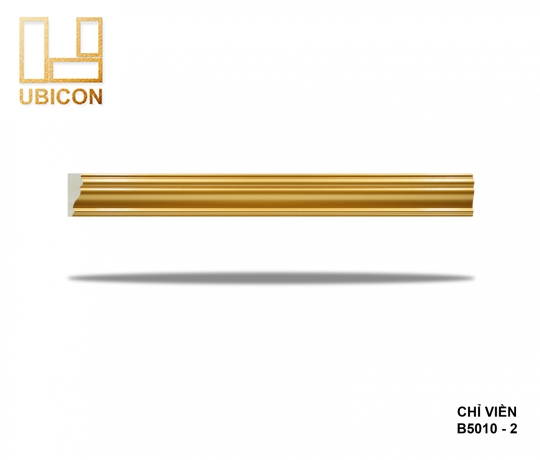 CHỈ VIỀN B5010 - 2