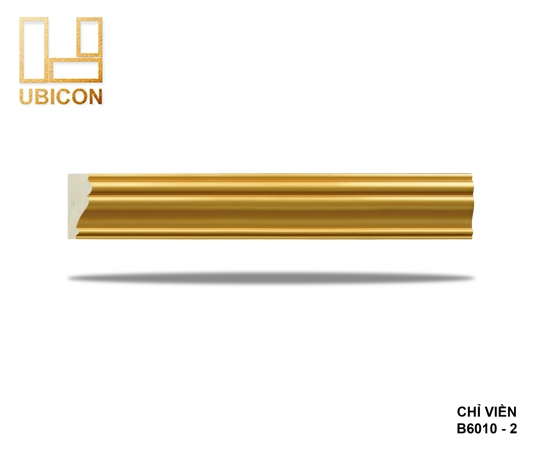 CHỈ VIỀN B6010 - 2