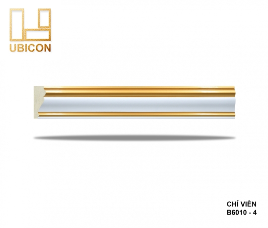 CHỈ VIỀN B6010 - 4