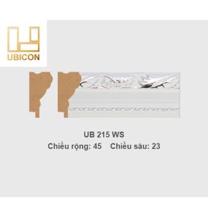 Khung tranh khổ vừa UB215 - WS