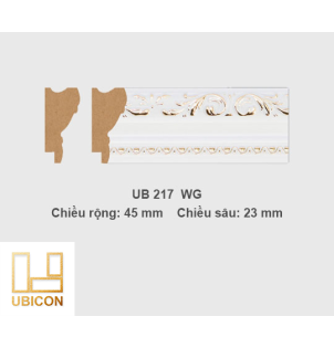 Khung tranh khổ vừa UB217 - WG