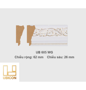 Khung tranh khổ vừa UB605 - WG