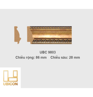Khung tranh khổ lớn UBC9803